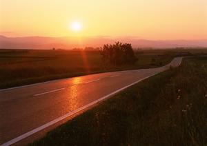 おすすめな合宿免許に関すること