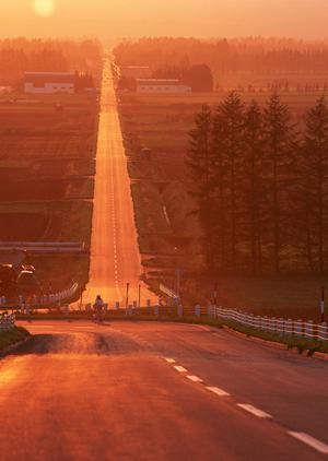 ワーゲンバス仕様車を購入したいときには