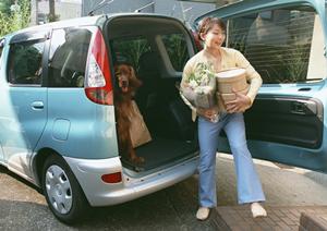 効率的な免許取得とお得な条件!千葉で合宿免許を受けるメリットとは?